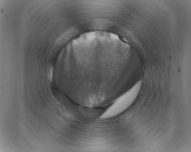 X0000088360076200706191229