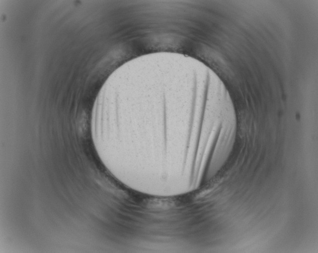 X0000088360077200706191229