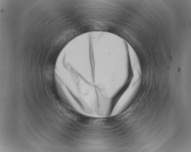 X0000088360078200706191229