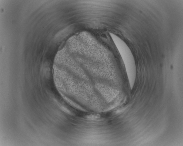 X0000088360080200706191229
