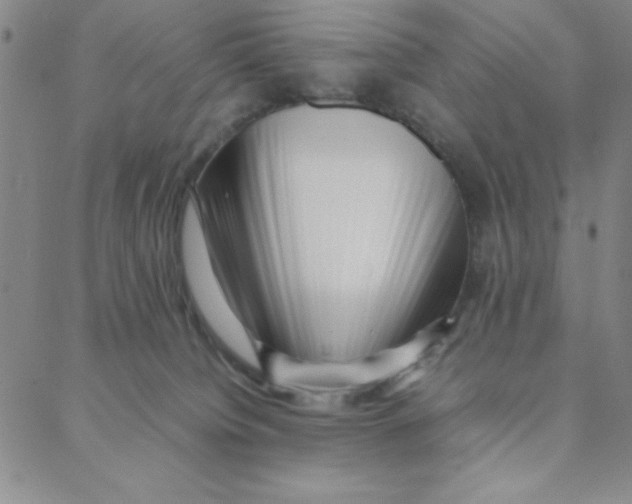 X0000088360084200706191229