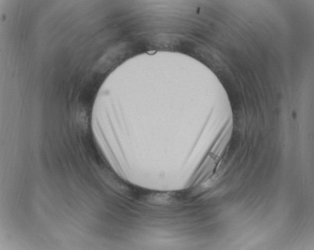 X0000088360086200706191229