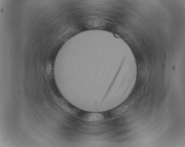 X0000088360087200706191229