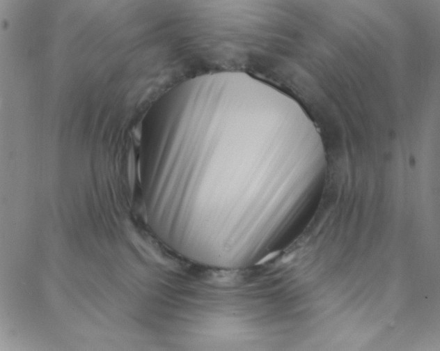 X0000088360088200706191229