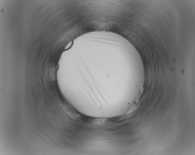 X0000088360090200706191229