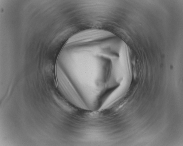 X0000088360092200706191229