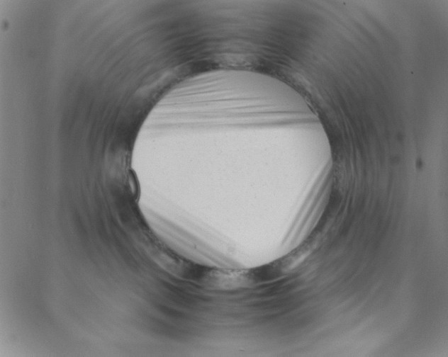 X0000088360093200706191229