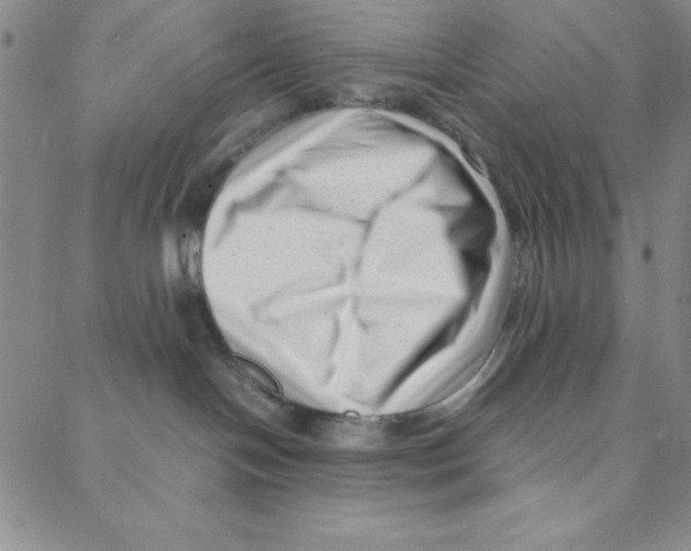 X0000088360094200706191229