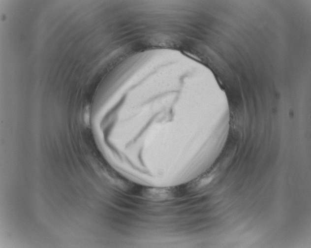 X0000088360095200706191229