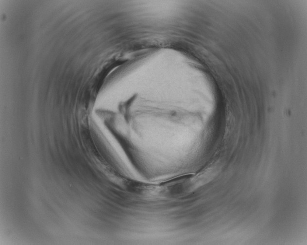 X0000088360096200706191229