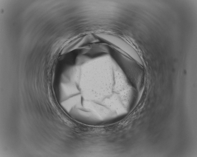 X0000088360097200706191228
