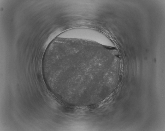 X0000088360099200706191228