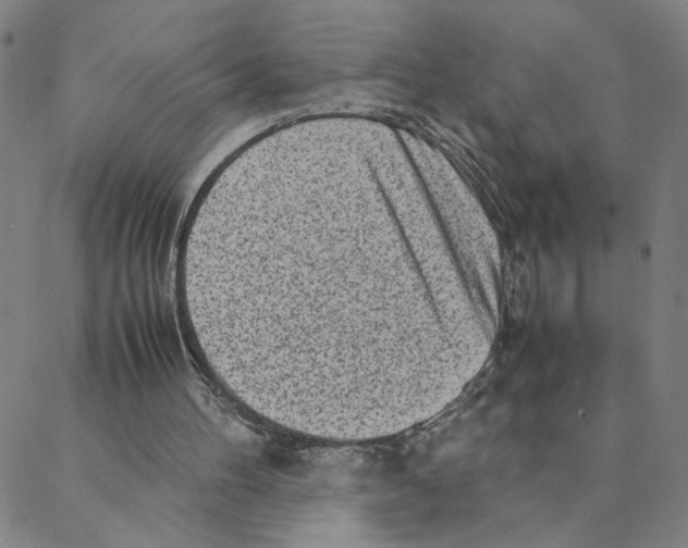 X0000088360100200706191228