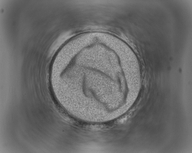 X0000088360103200706191228