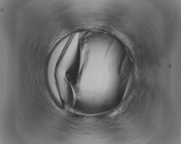 X0000088360105200706191228