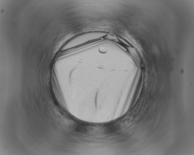 X0000088360107200706191228