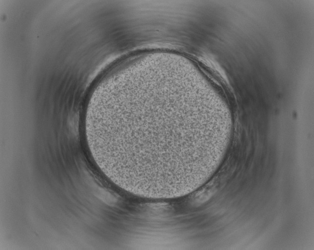 X0000088360108200706191228