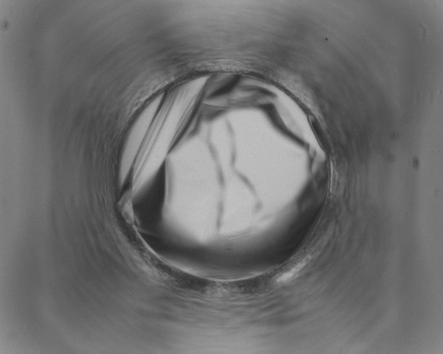 X0000088360109200706191228