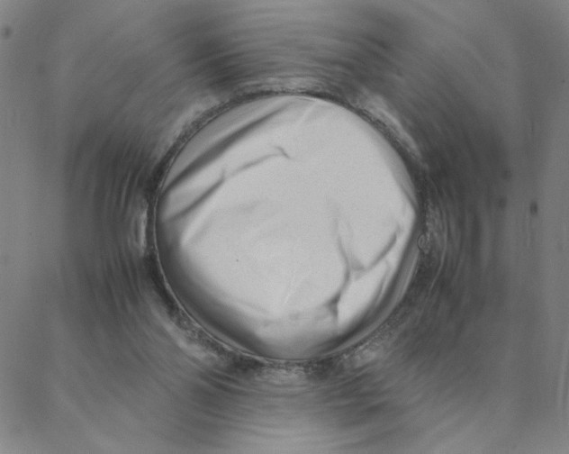 X0000088360110200706191228