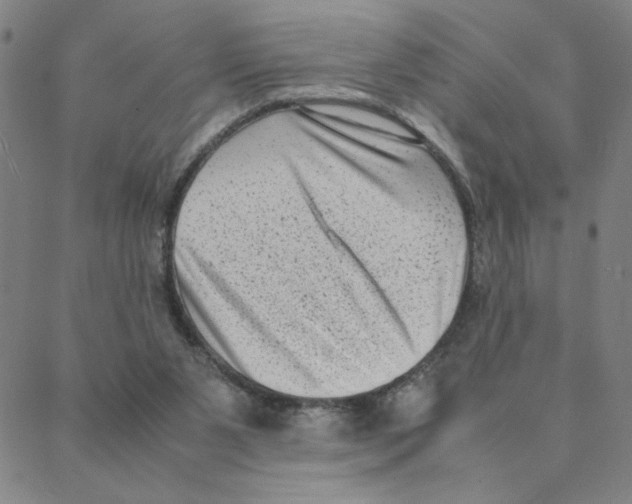 X0000088360111200706191228