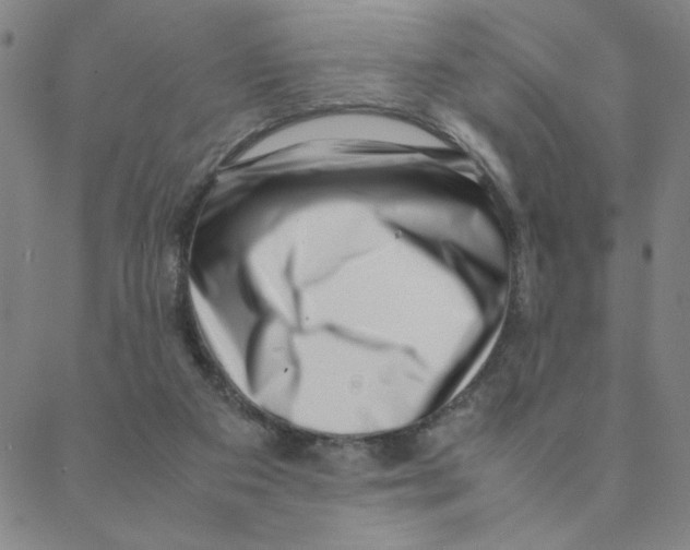 X0000088360113200706191228