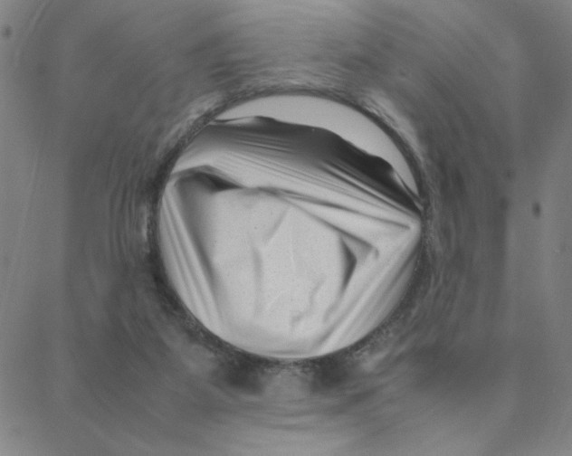 X0000088360115200706191228