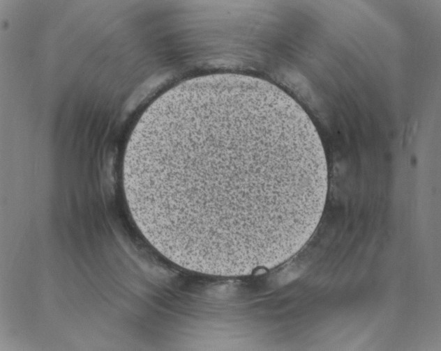 X0000088360116200706191228