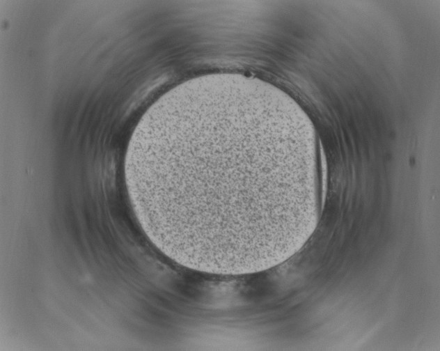 X0000088360120200706191228