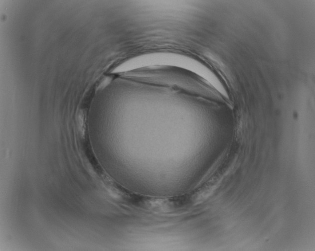 X0000088360121200706191228
