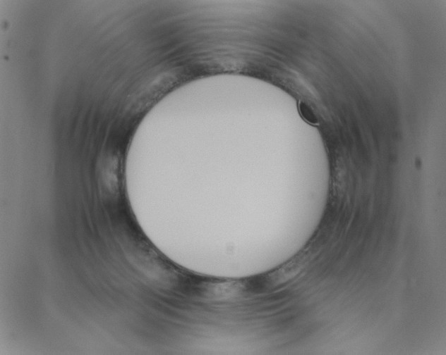 X0000088360122200706191228