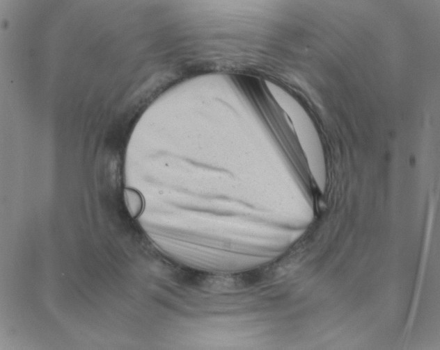X0000088360123200706191228
