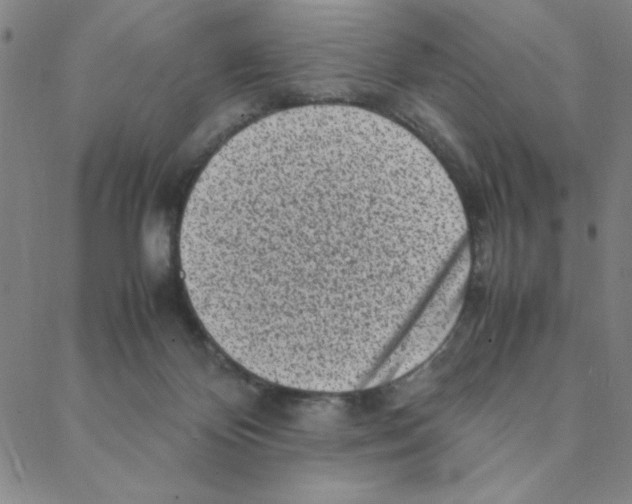 X0000088360124200706191228