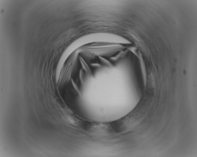 X0000088360125200706191228