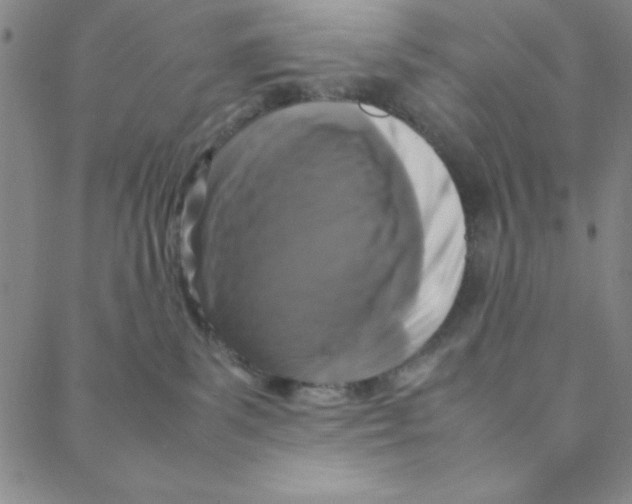 X0000088360139200706191227