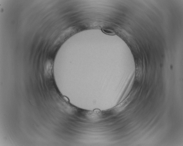 X0000088360142200706191227