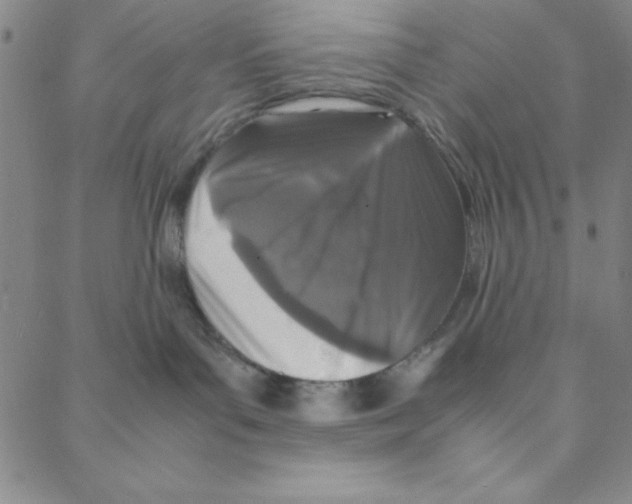 X0000088360143200706191227