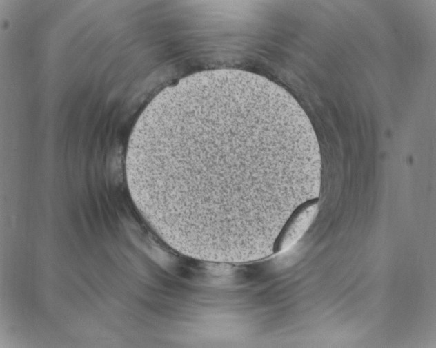 X0000088360144200706191227