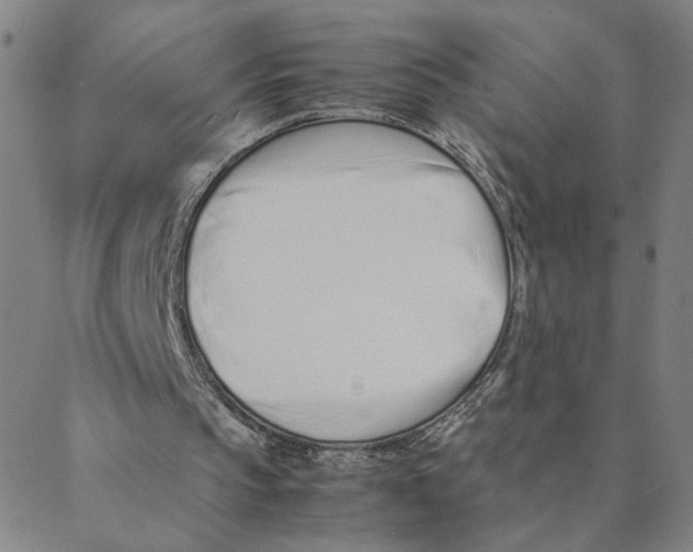 X0000088360145200706191227