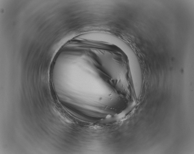 X0000088360148200706191227