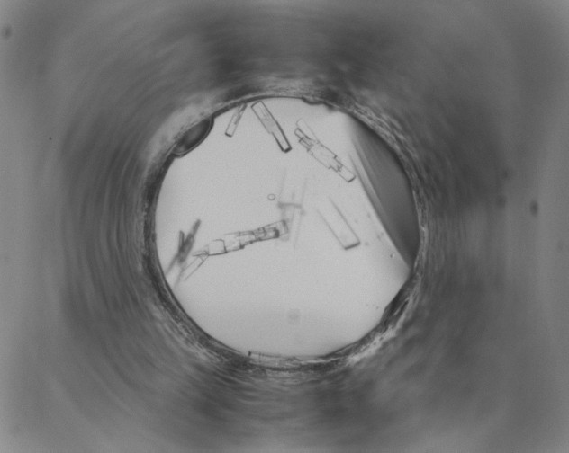 X0000088360149200706191227