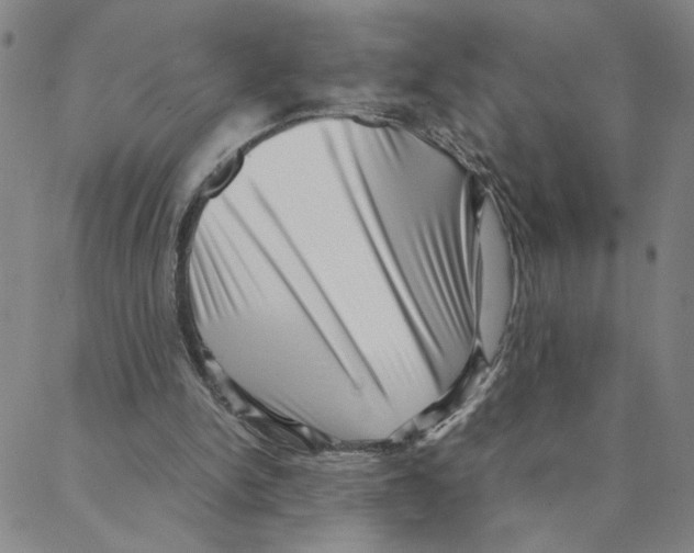 X0000088360150200706191227