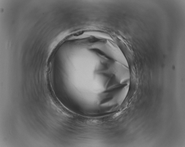 X0000088360152200706191227