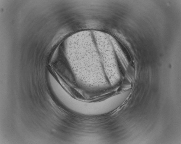 X0000088360154200706191227