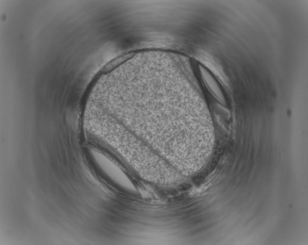 X0000088360156200706191227