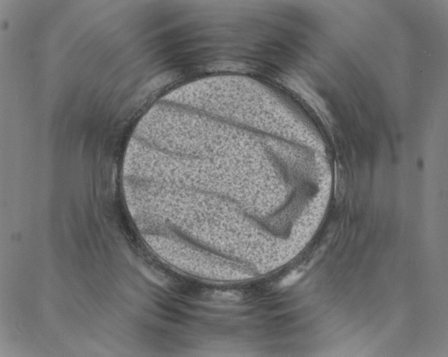 X0000088360157200706191227