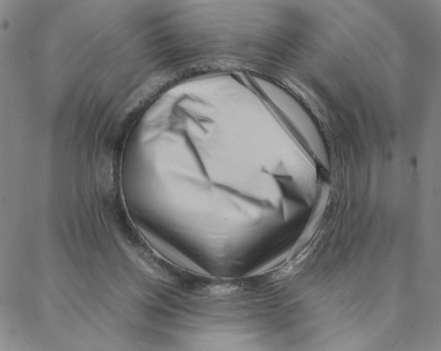 X0000088360158200706191227