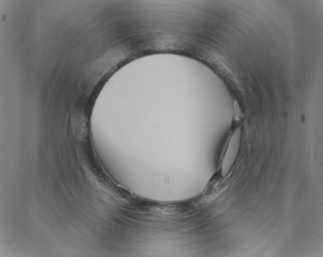 X0000088360164200706191227