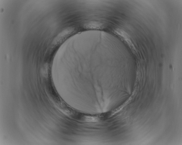X0000088360167200706191227