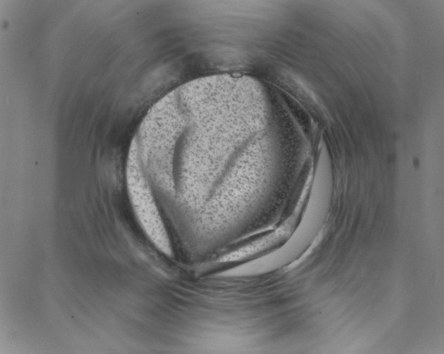 X0000088360170200706191227