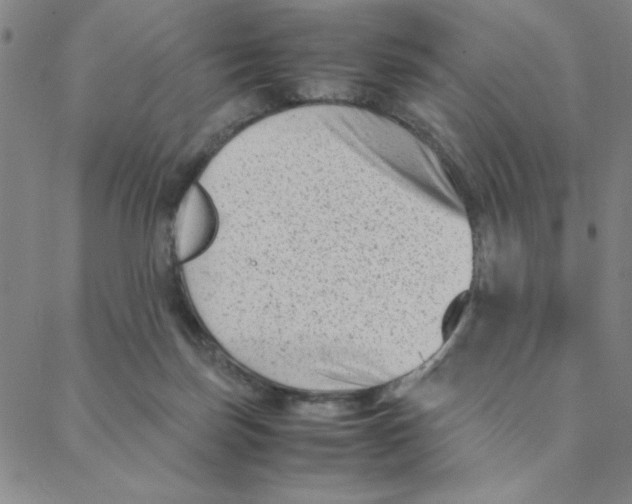 X0000088360171200706191227